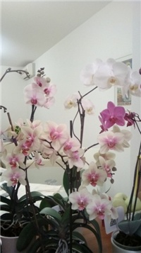 316f79e1-WP_20140523_004 - Copy.jpg